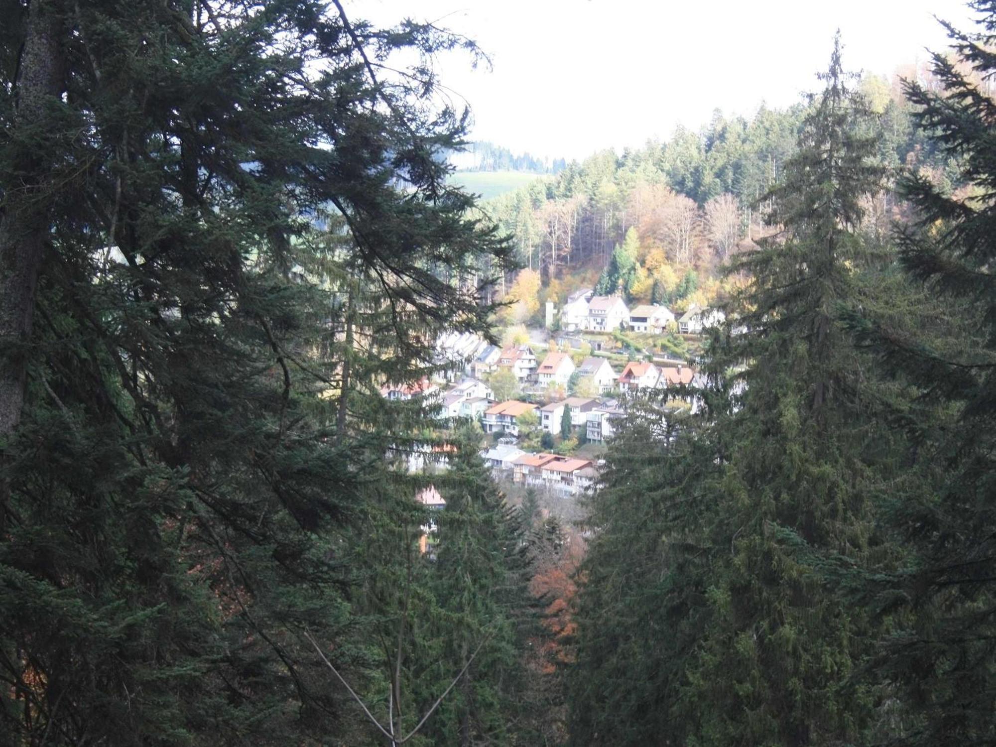 Relaxapartments Black Forest Diamond Direkt An Der Hornberger Freilichtbuehne - Sonnenterrasse Mit Blick Auf Das Hornberger Schloss, Schnelles Internet, Fuer Bis Zu 2 Personen Exterior foto