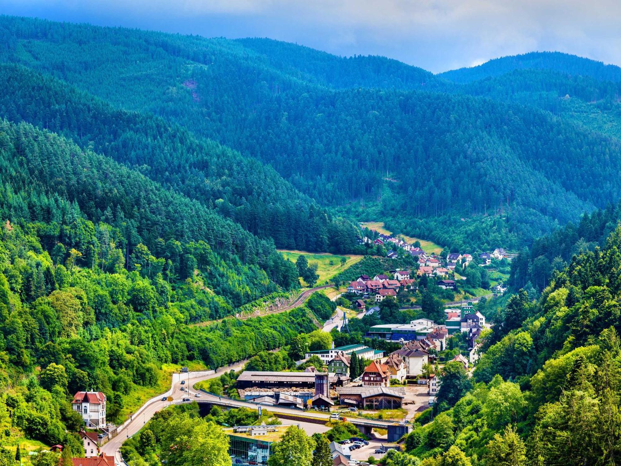 Relaxapartments Black Forest Diamond Direkt An Der Hornberger Freilichtbuehne - Sonnenterrasse Mit Blick Auf Das Hornberger Schloss, Schnelles Internet, Fuer Bis Zu 2 Personen Exterior foto